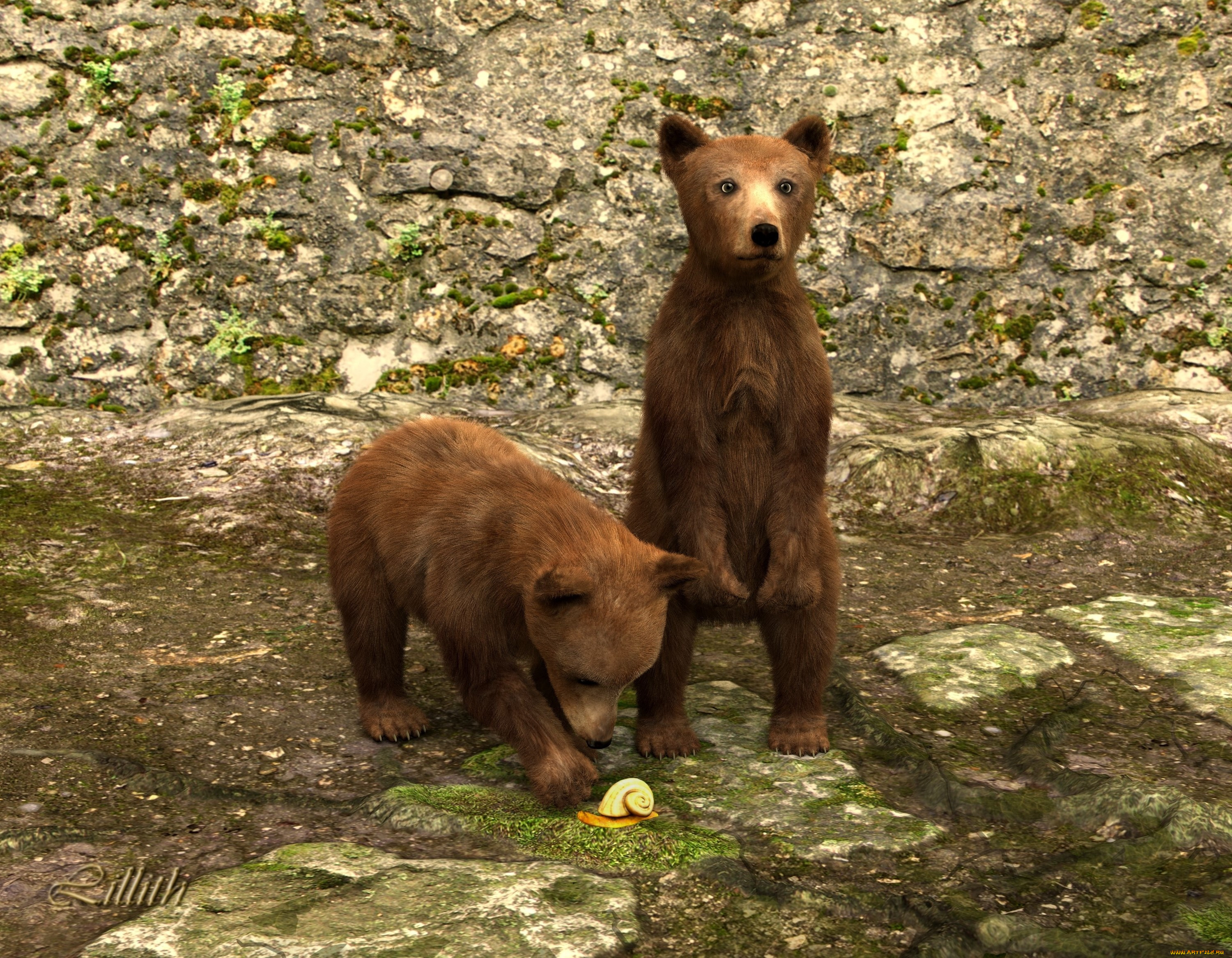 3 ,  , animals, 